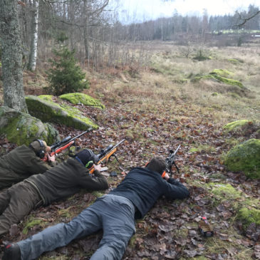 Grundkurs i fältskytte – På lördag smäller det